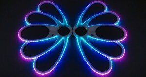 Seashell Fans Seashell Fans